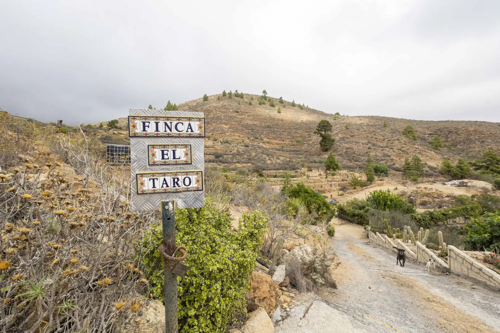 Terreno rustico in vendita a Calle San Bartolomé, imagen 6