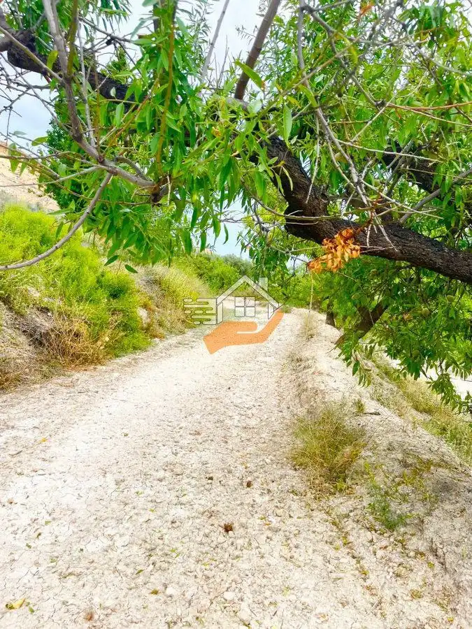 Lands and plots for sale in Vélez-Blanco