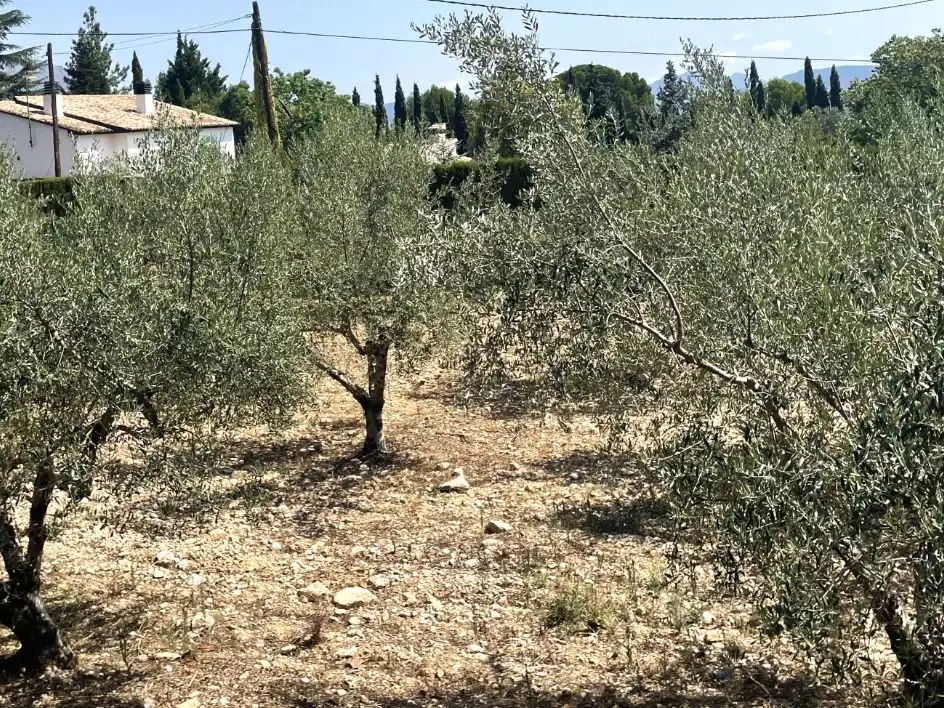 Casa o xalet en venda en Cocentaina amb Aire condicionat, Terrassa i Piscina