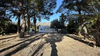 Vista exterior de Casa o xalet en venda en Alcanar amb Jardí privat i Terrassa