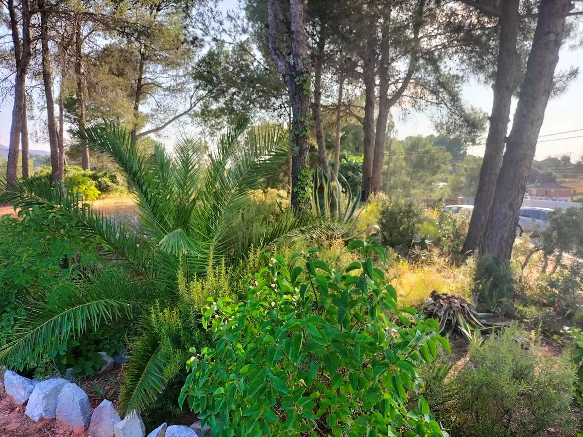 Terrenos y solares en venta en Castellbisbal, imagen 12