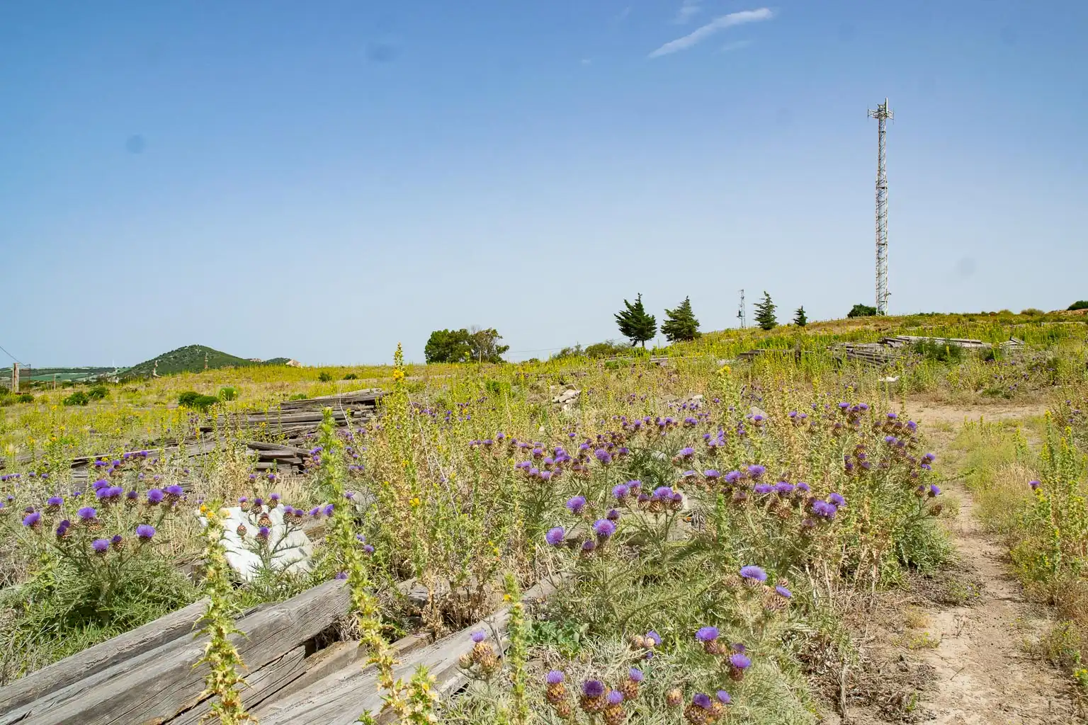 Terreny residencial en venda a Medina Sidonia, imagen 4