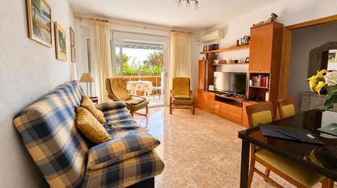 Apartamento en El Campello playa Muchavista, Las lanzas, imatge 3