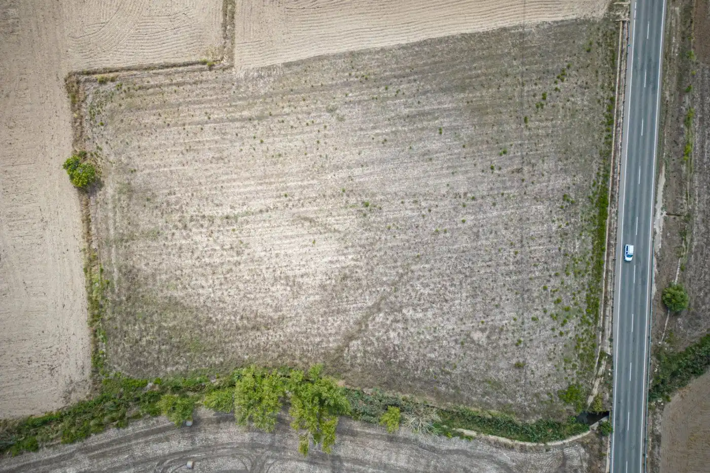 Terreno rustico in vendita a Santa Margalida Poble, imagen 6