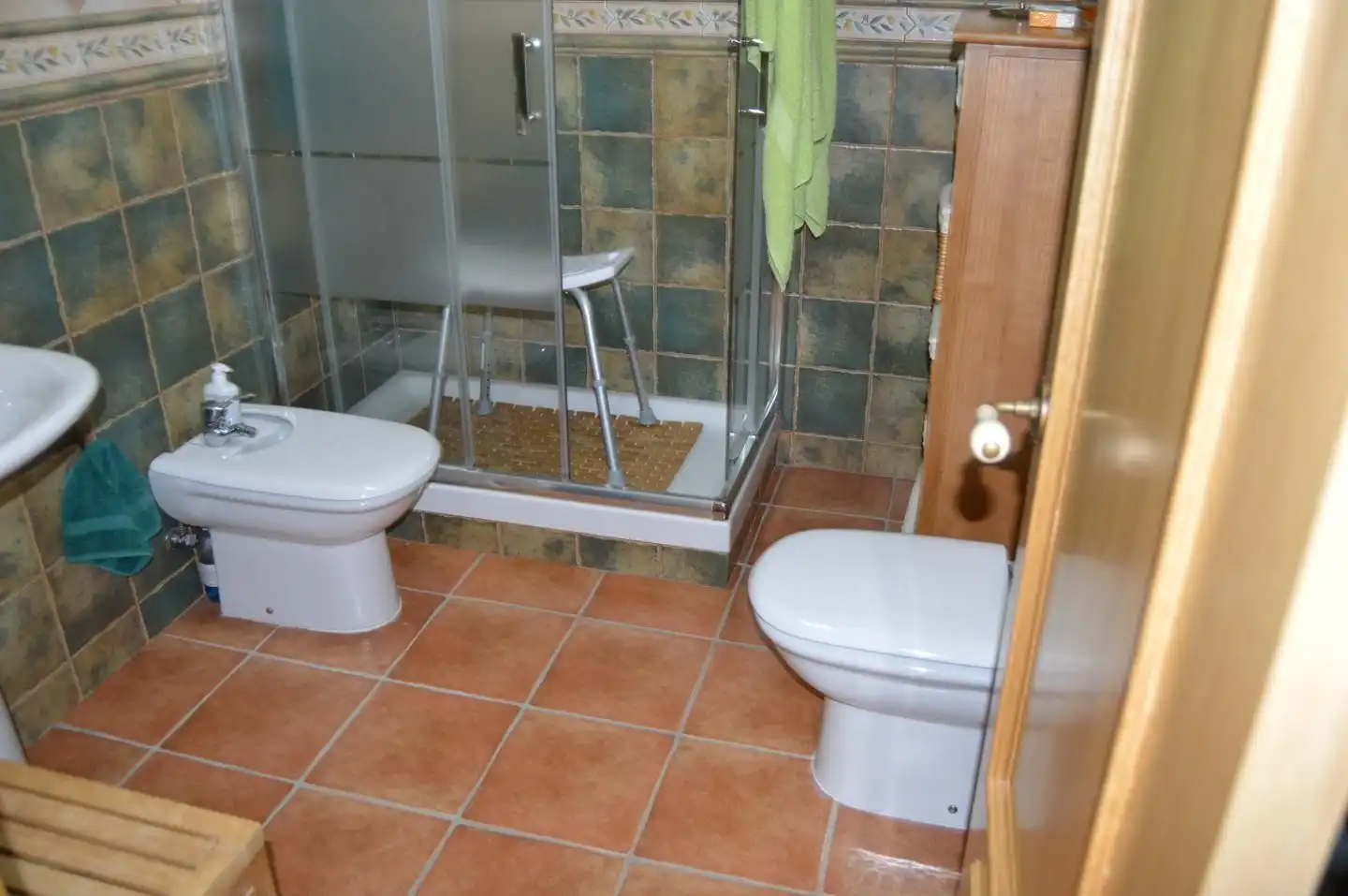Bathroom of Detached homes for sale in Tribaldos