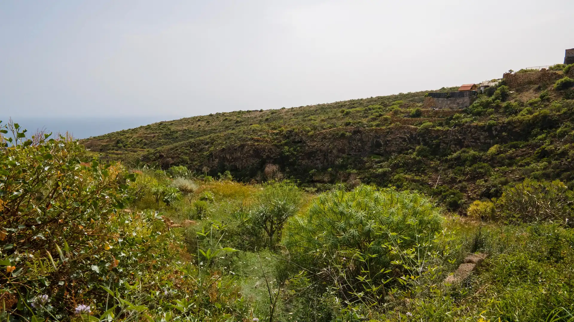 Residential for sale in Güímar