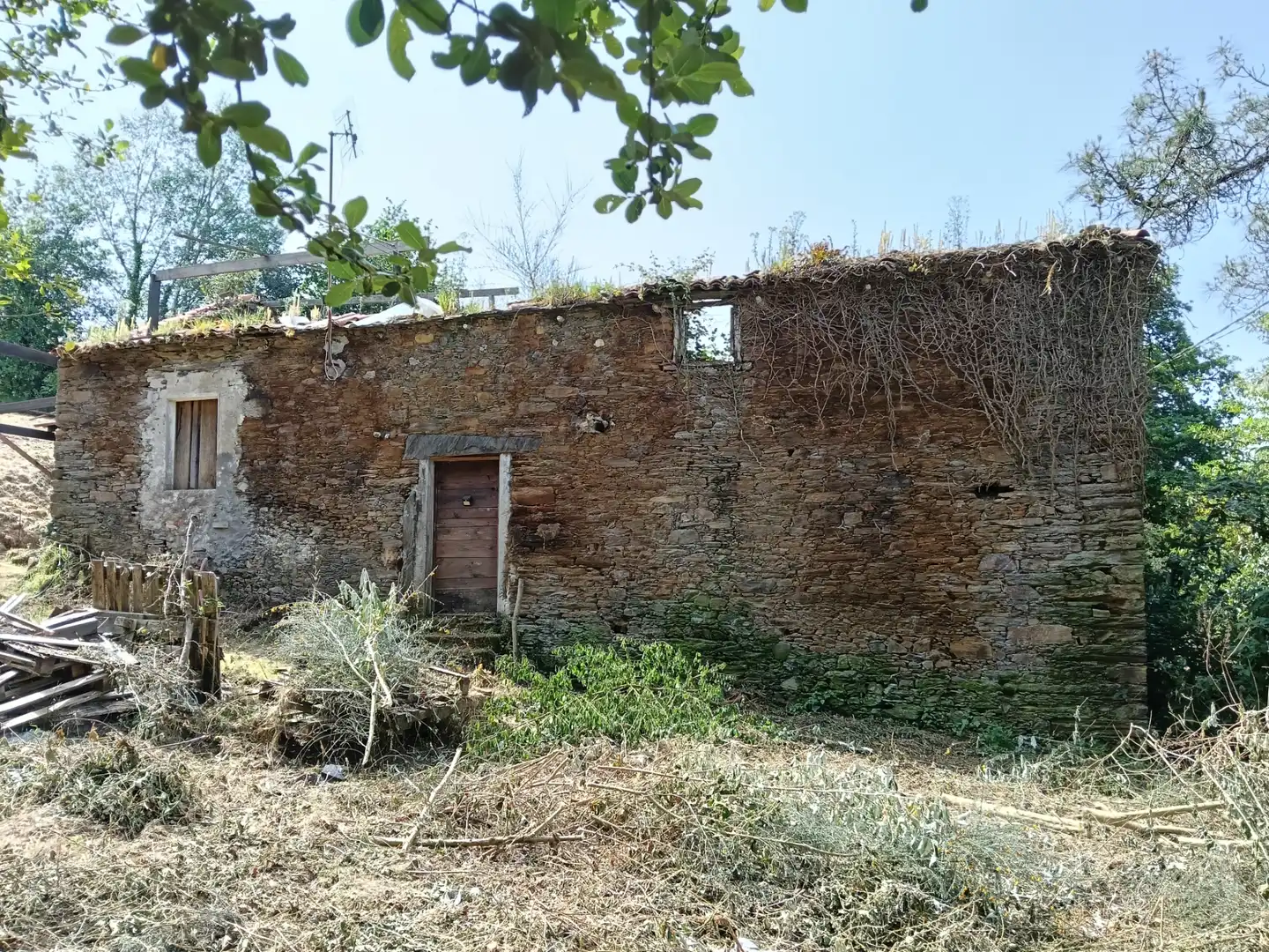 Maison avec jardin à vendre à Cesuras