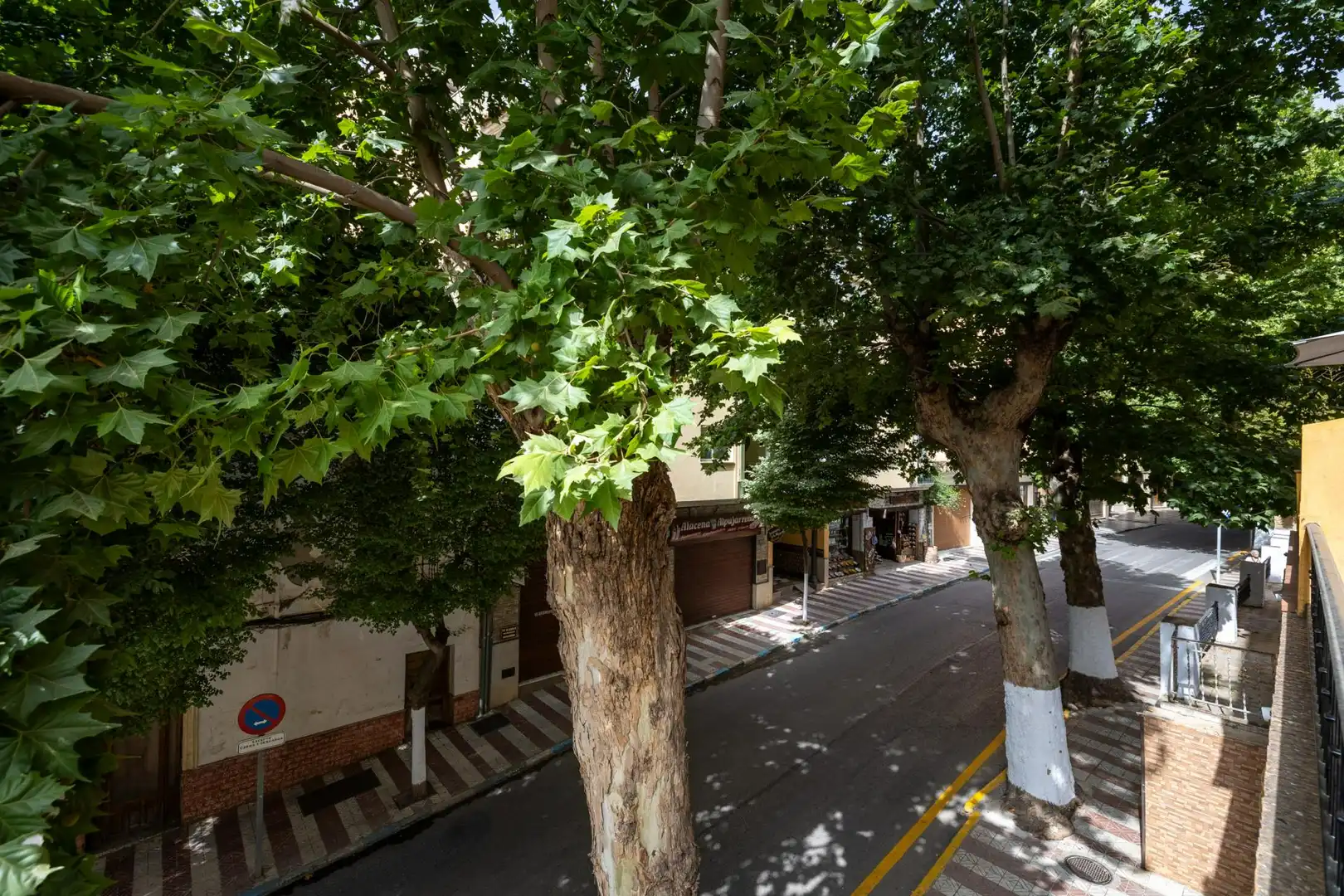 Exterior view of Flat for sale in Lanjarón  with Terrace