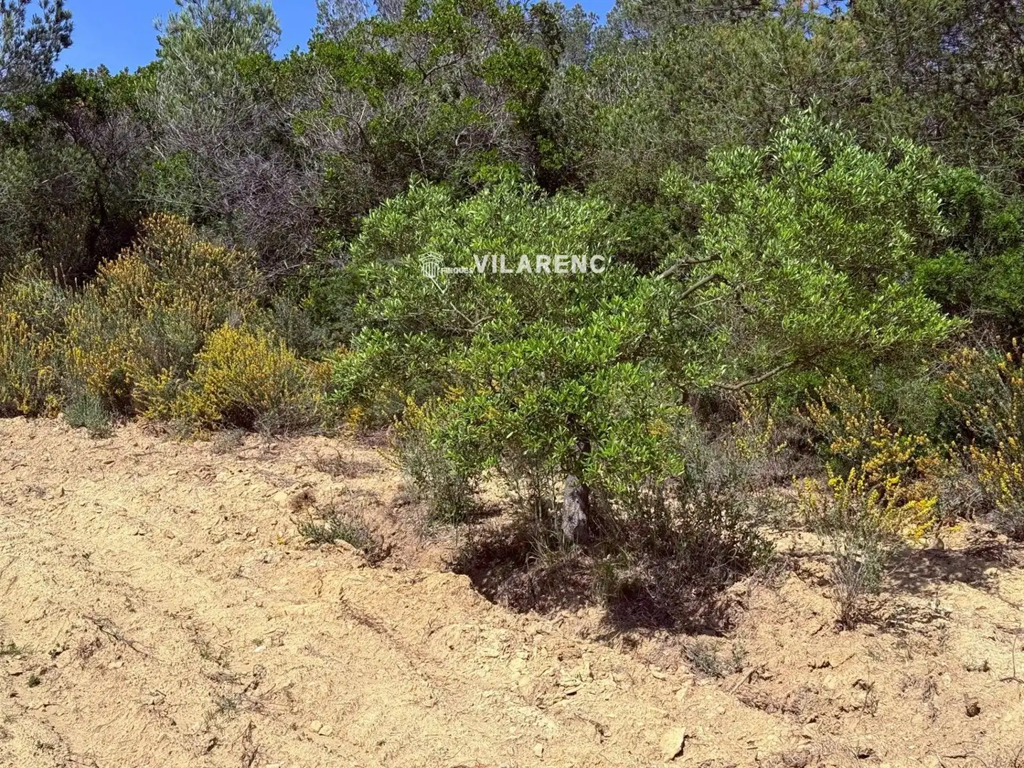 Rural land for sale in Massos de Vespella, imagen 13