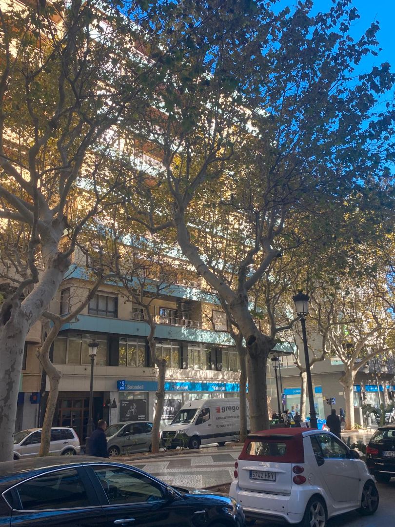 Exterior view of Flat for rent in Gandia  with Heating, Parquet flooring and Furnished