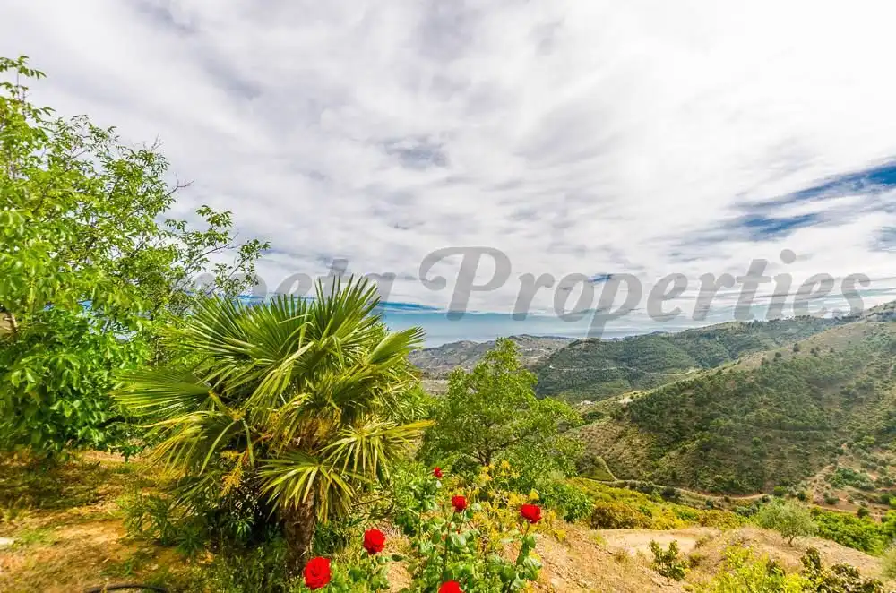 Casa amb jardí en venda a Canillas de Albaida, imagen 3