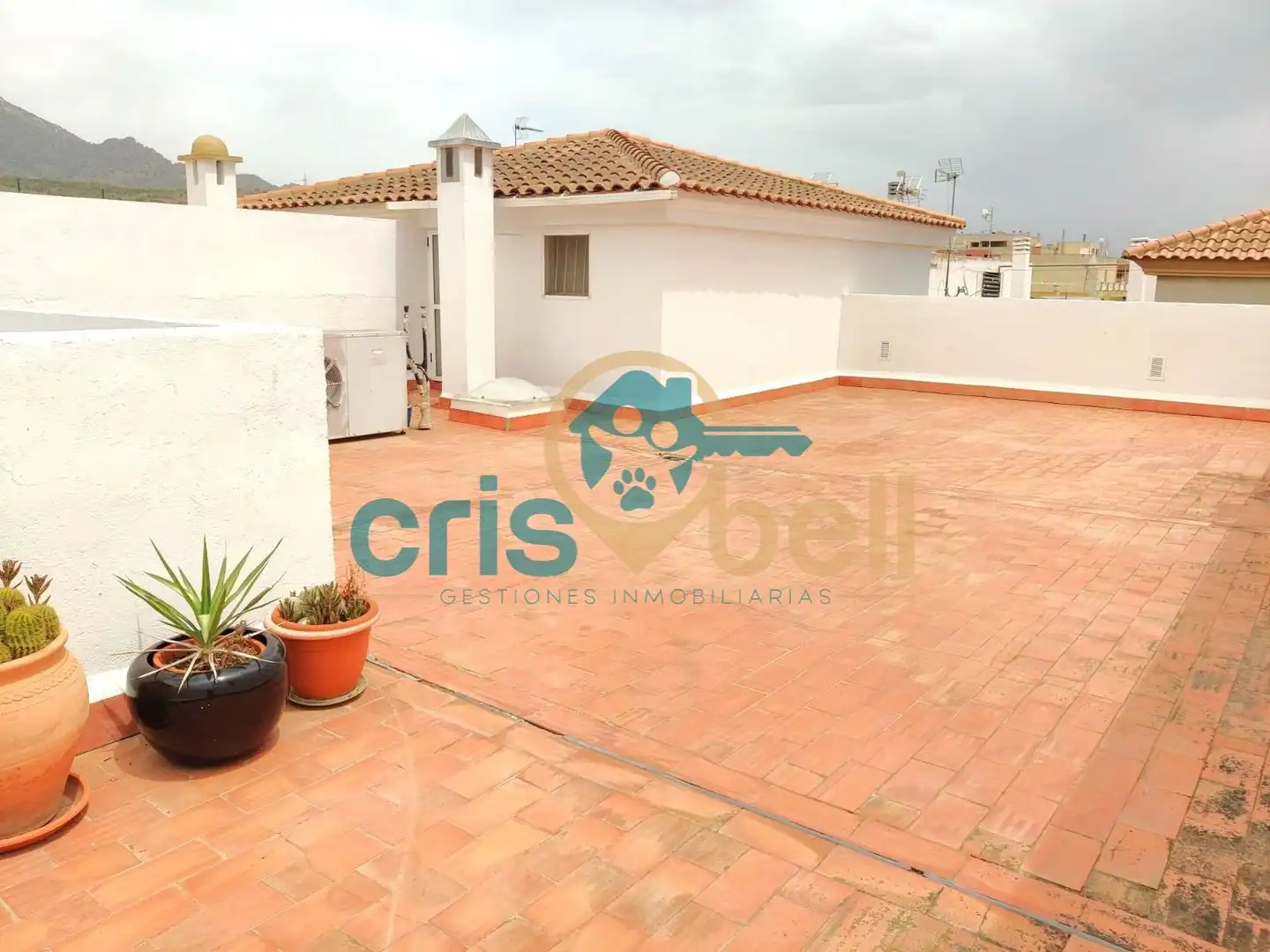 Exterior view of Flat for sale in Lorca  with Air Conditioner, Terrace and Furnished