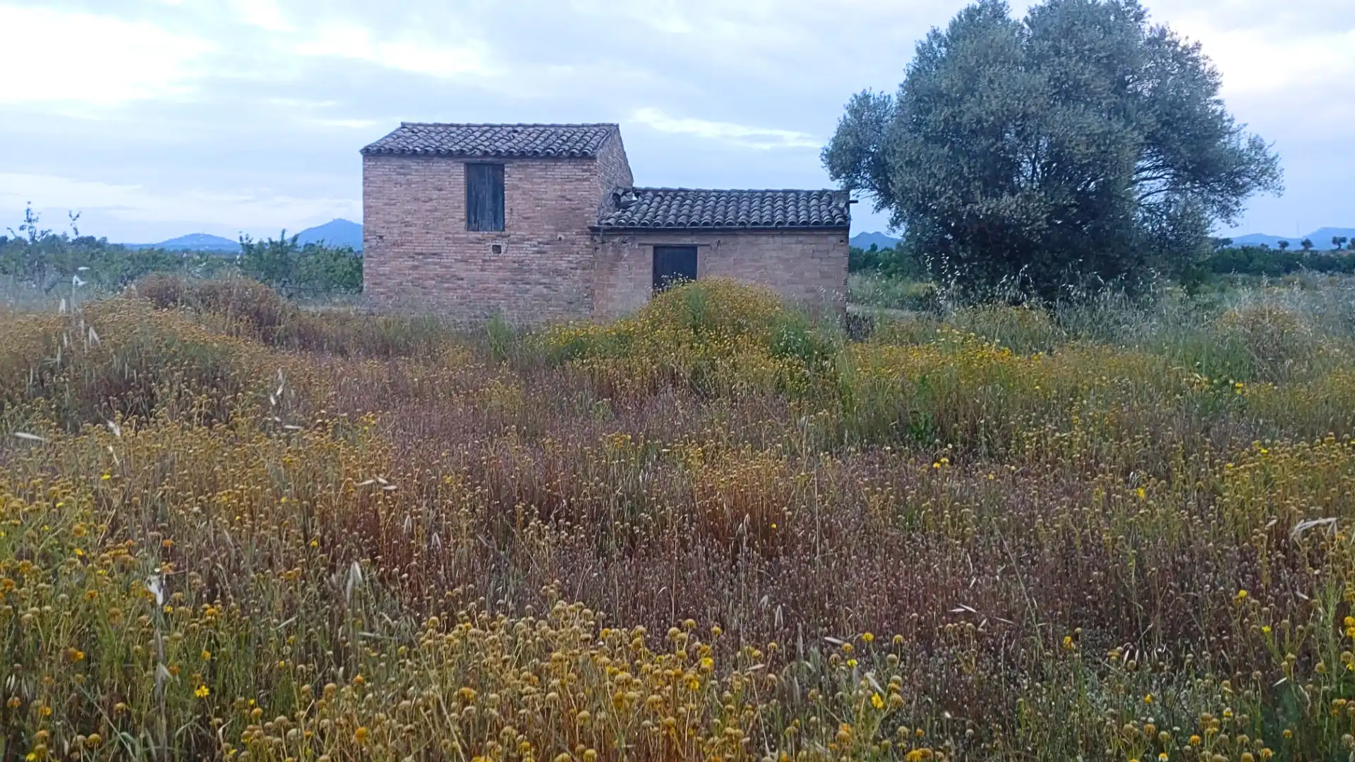 Terreno residenziale in vendita a Camino Nou, imagen 12