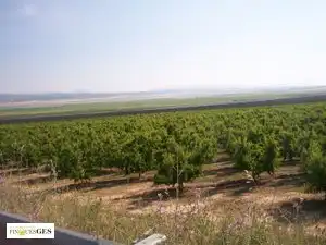 Residential land for sale in Algerri, imagen 4