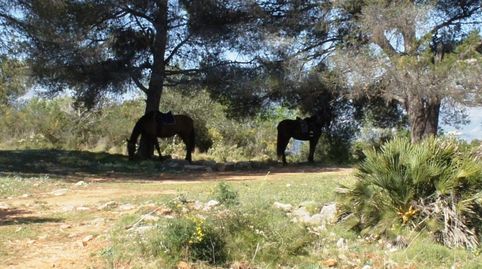 Foto 3 de Residencial en venda a Benidoleig, Alicante