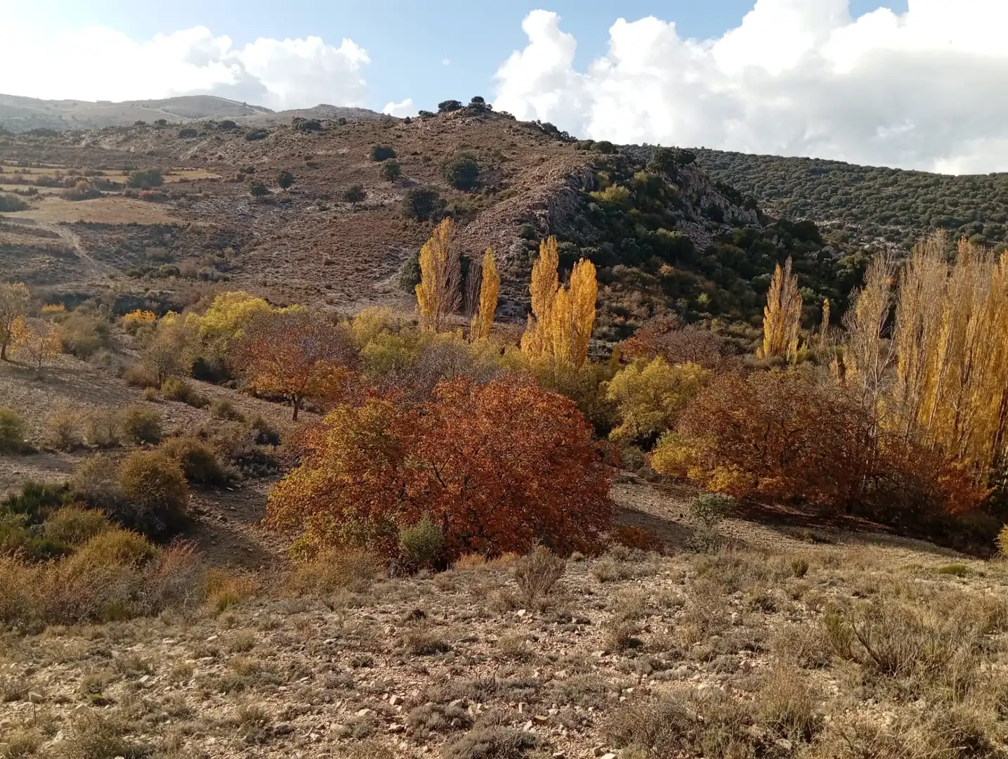 Vista exterior de Terreny en venda en Nerpio