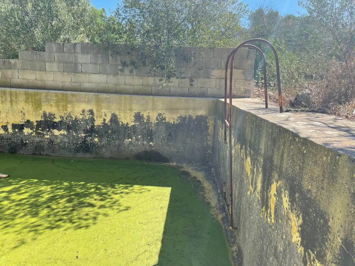 Schwimmbecken von Grundstücke zum Verkauf in Ariany