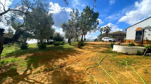 Photo 5 of Country homes for sale in De las Huertas, El Viso del Alcor, Sevilla