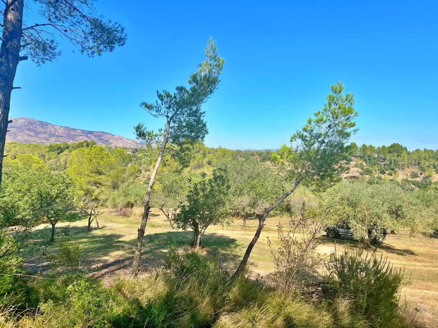 Houses for sale in Aldover