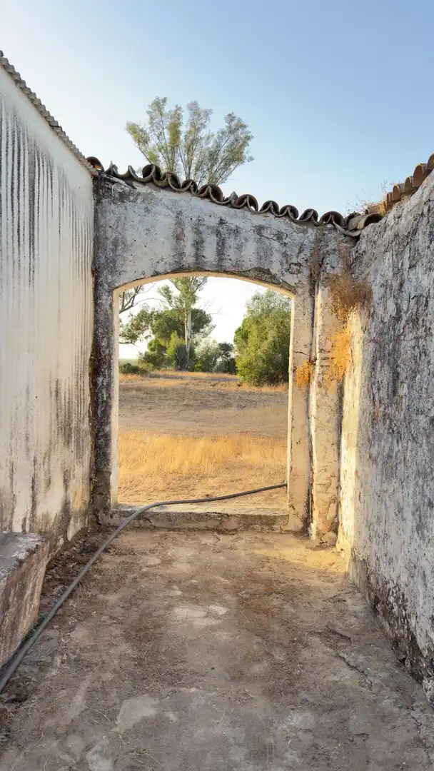 Casa rústica amb jardí en venda a Almonte ciudad, imagen 22