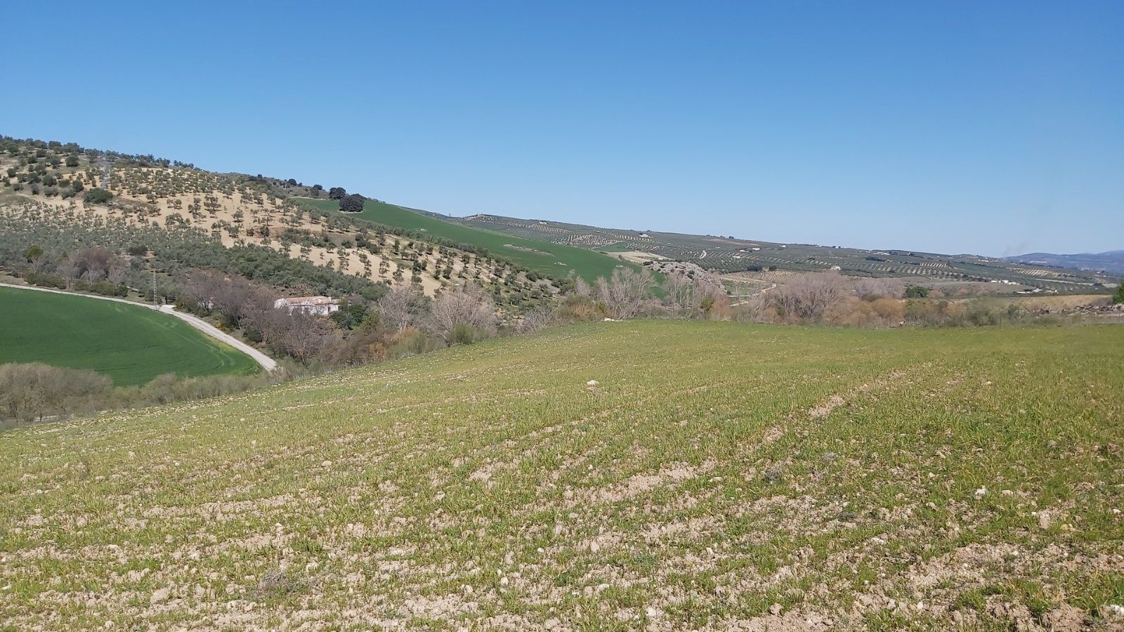 Residencial en venda en Setenil de las Bodegas