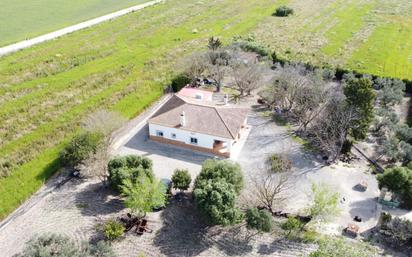 Exterior view of Country house for sale in Lebrija