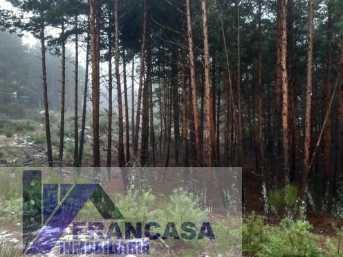 Residential for sale in Bonilla de la Sierra