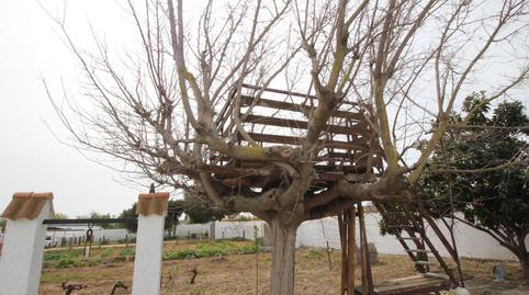 Foto 4 de Casa o xalet en venda a Pelagatos - Pago del Humo, Chiclana de la Frontera