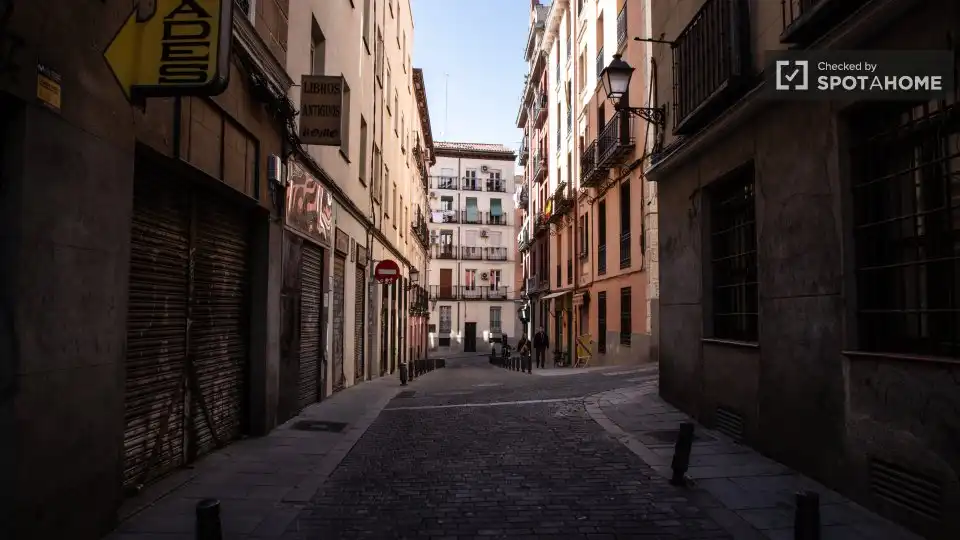 Piso en alquiler en Centro, imagen 18