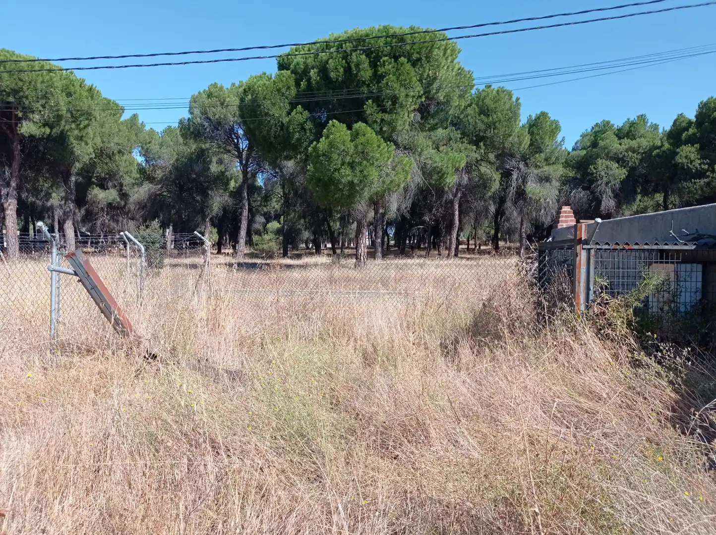 Terreno industrial en venta en Laguna de Duero