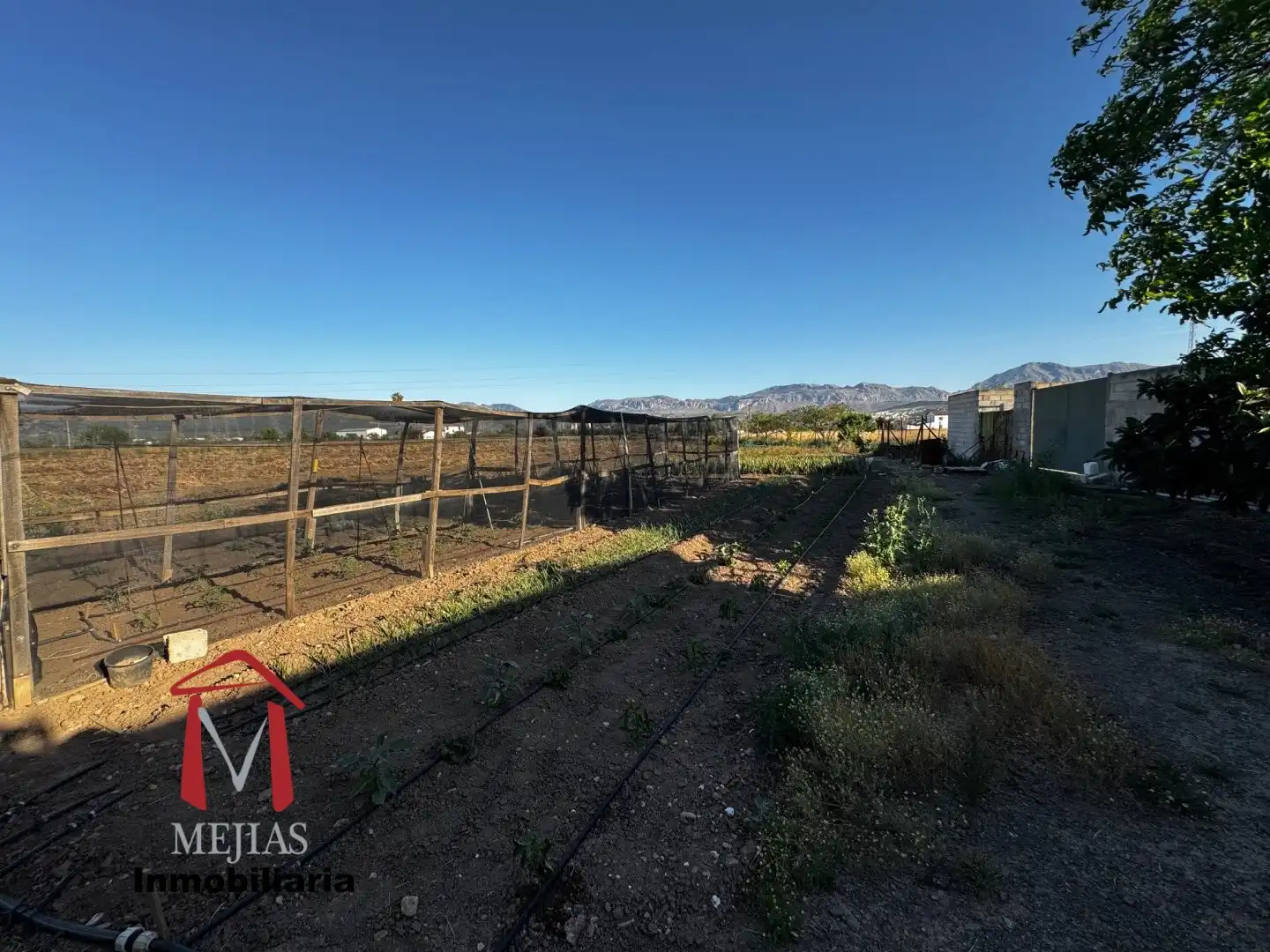 Lands and plots for sale in Centro, imagen 45