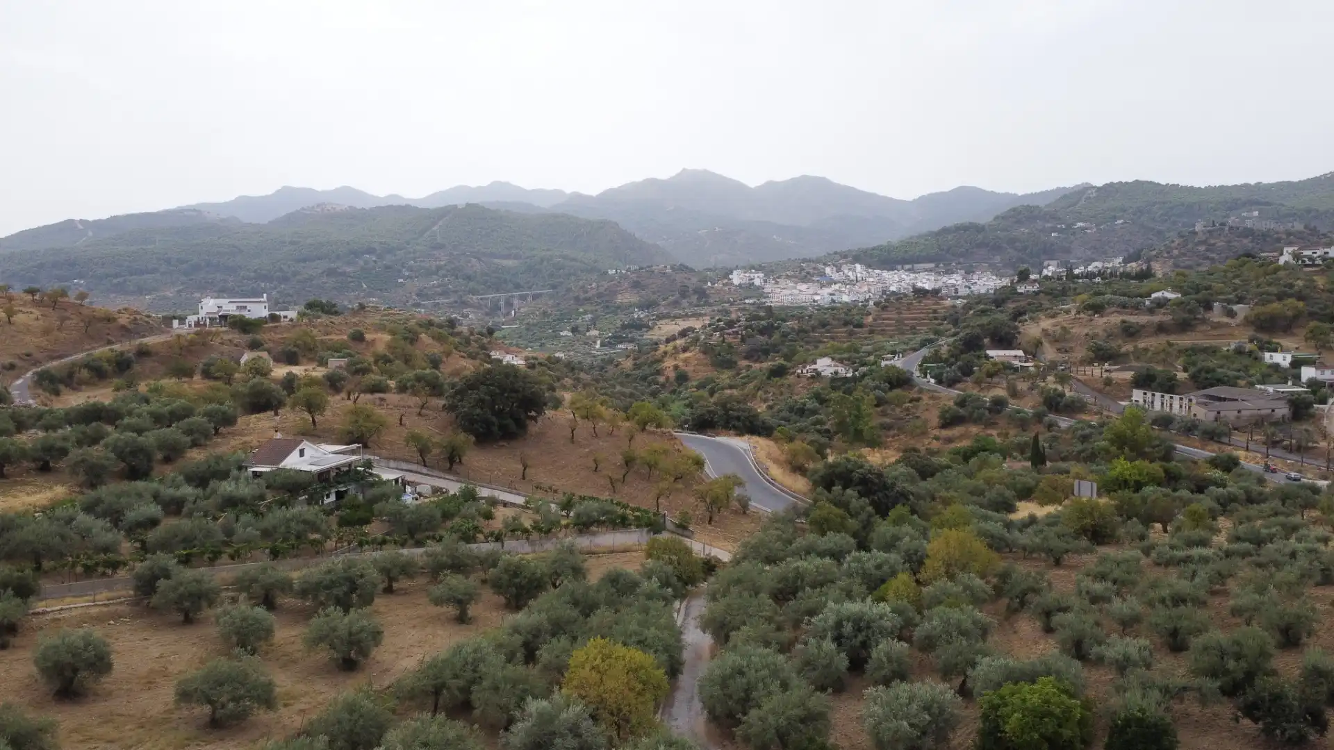 Rural land for sale in Monda, imagen 32