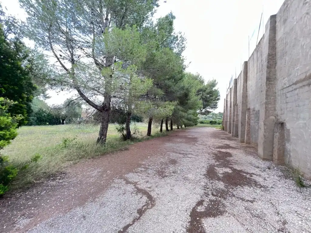 Terreny residencial en venda a Alberic, imagen 15