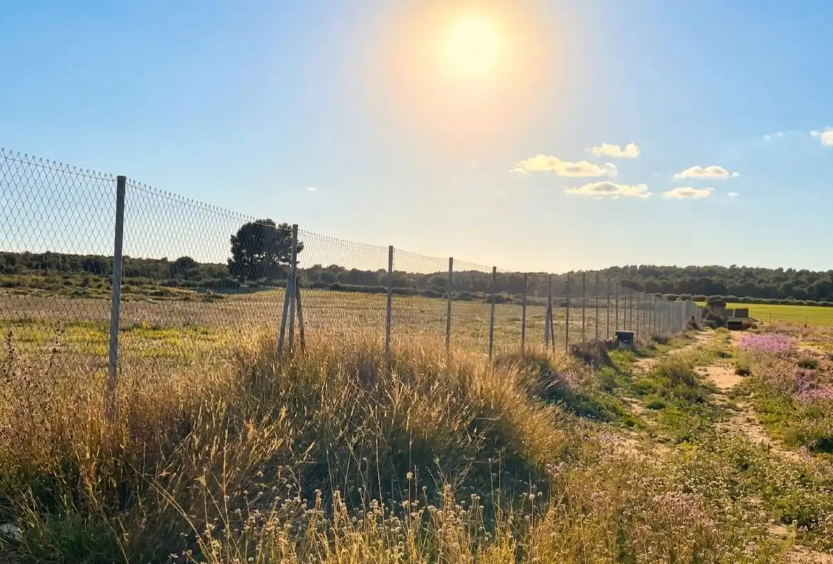 Terreno residenziale in vendita a Moratalla, imagen 3