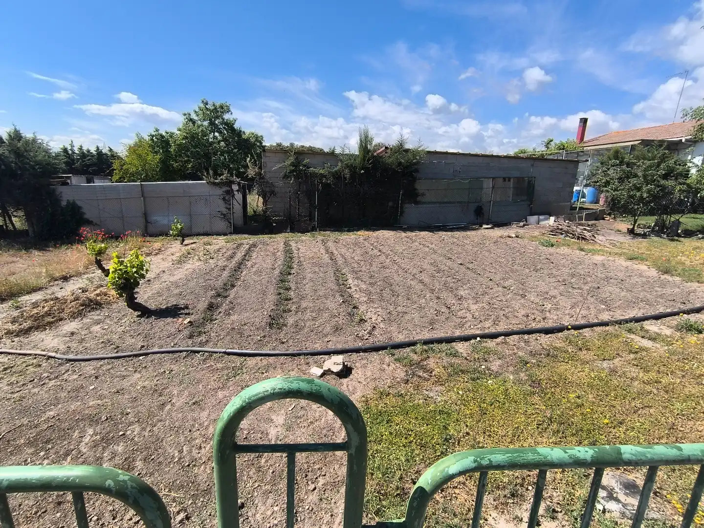 Land for sale in El Molar (Madrid)