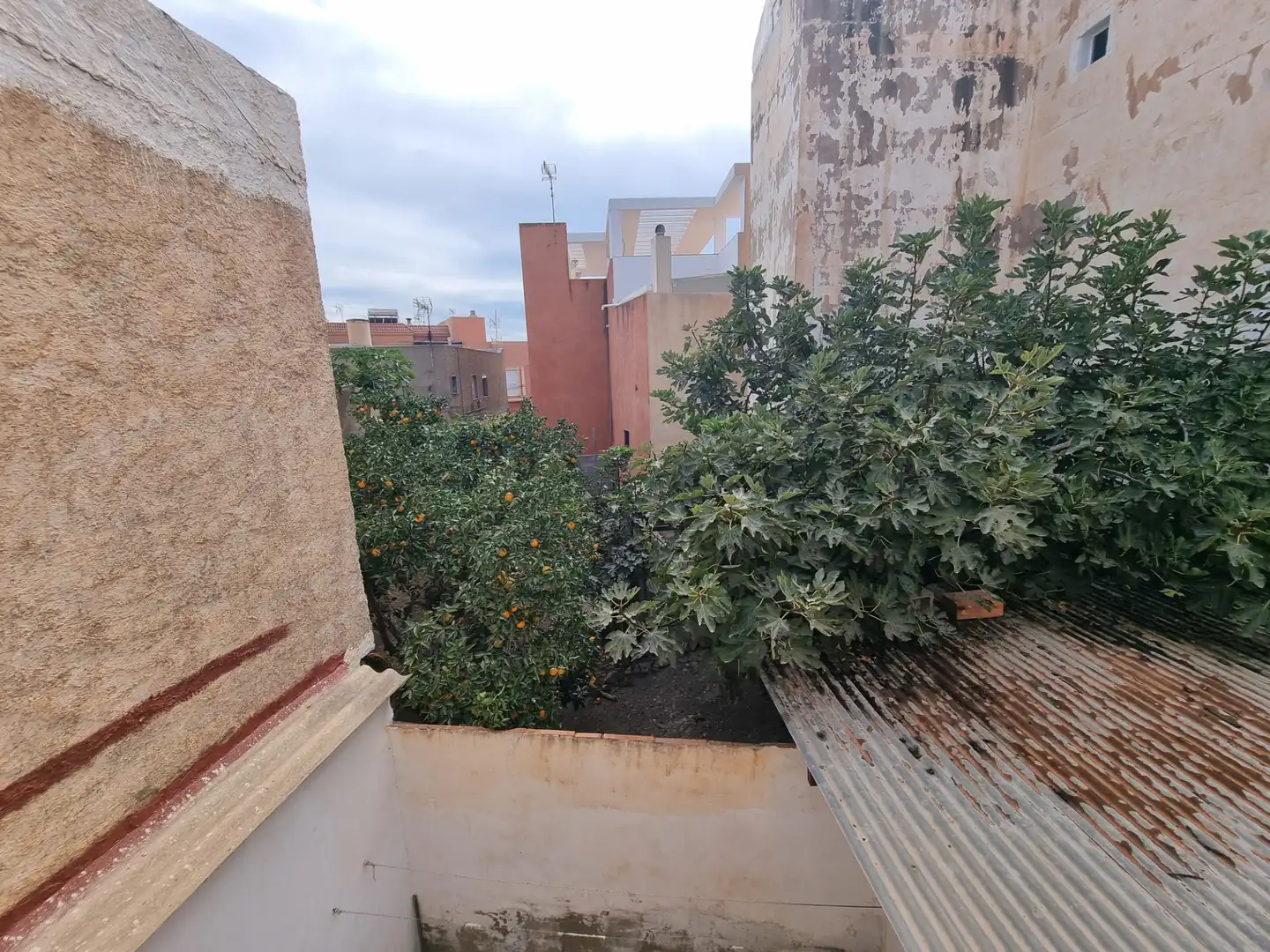 Jardí de Casa o xalet en venda en Almería amb Jardí privat, Terrassa i Moblat