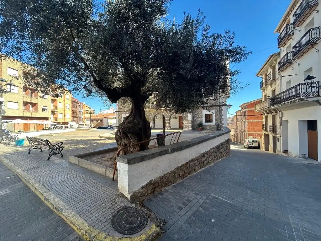 Erdgeschoss zum Verkauf in Avenida Del Santo, Bejís