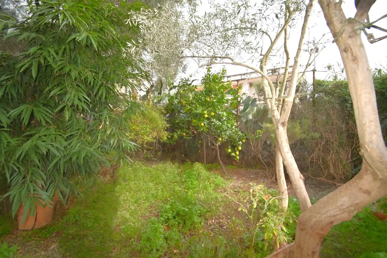 Lands and plots for sale in Carrer del Bisbe Miquel Moncadas, imagen 2