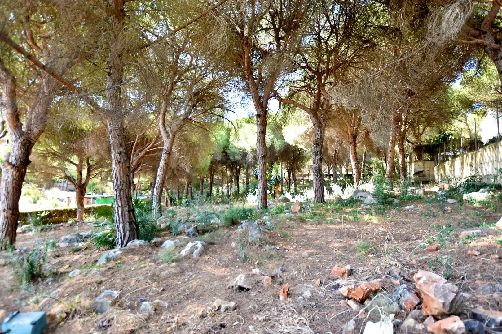 Casa o xalet en venda en Alhaurín de la Torre amb Jardí privat, Terrassa i Piscina comunitària
