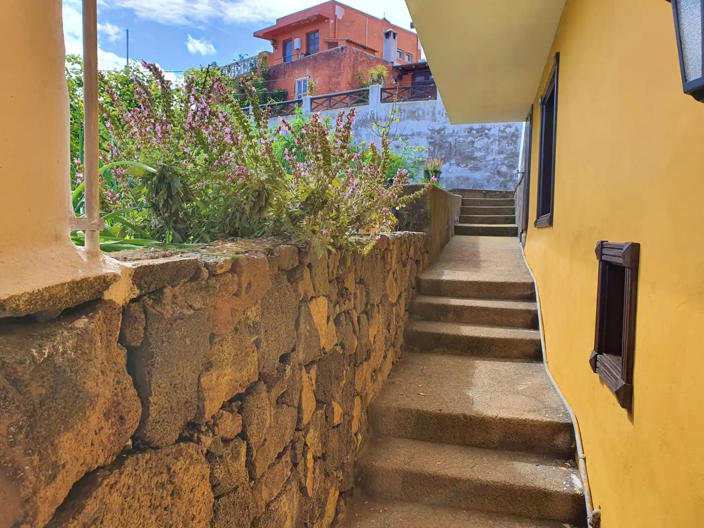 Vista exterior de Finca rústica en venta en Icod de los Vinos con Jardín privado, Terraza y Trastero