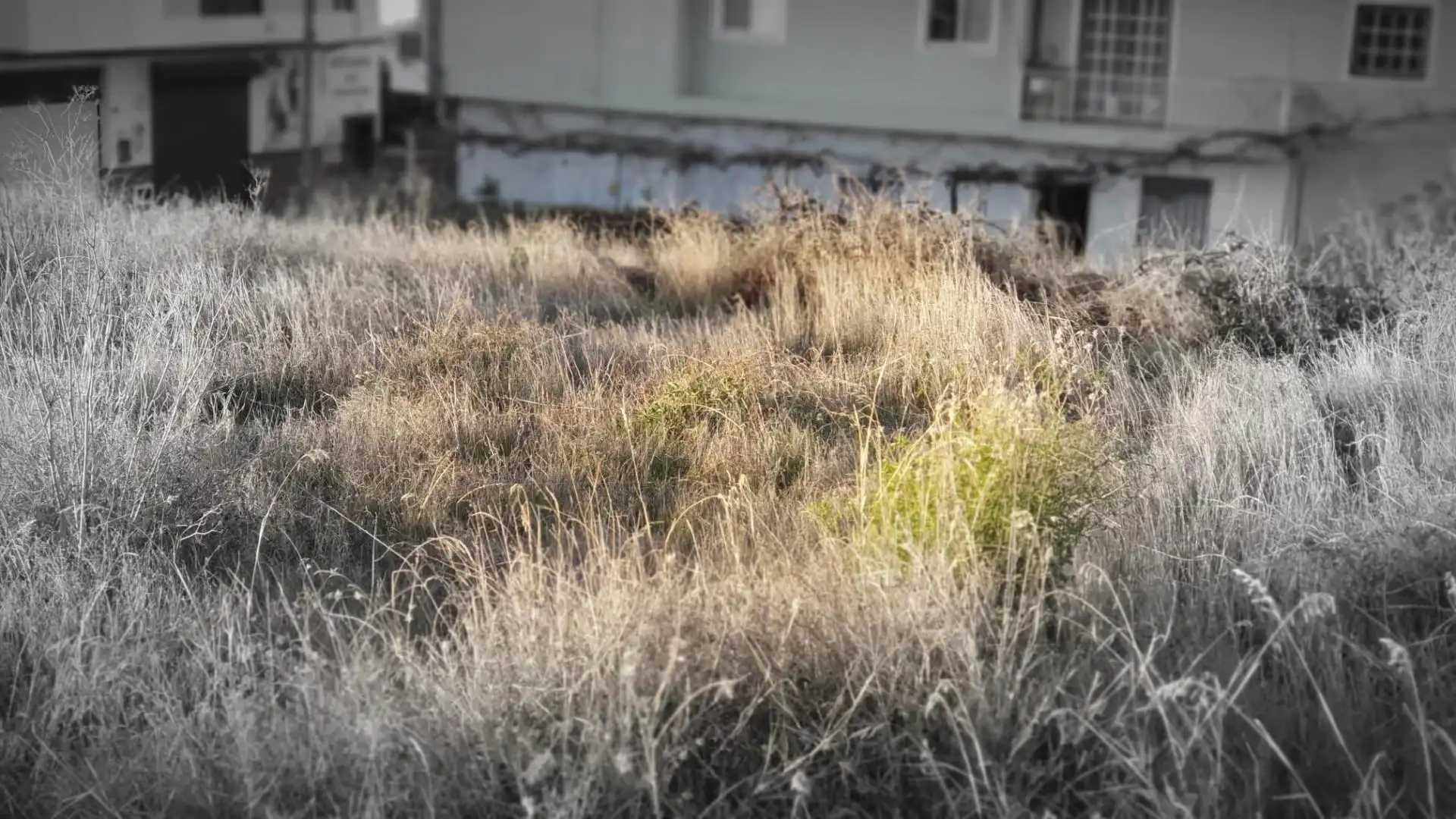 Terrenos y solares en venta en Vilaflor de Chasna, imagen 22