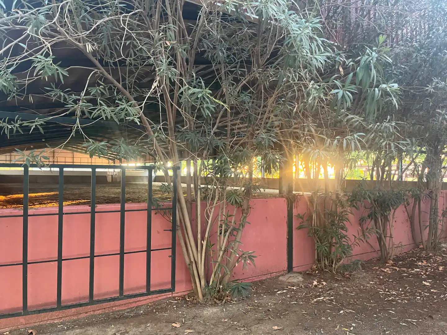Industrial building for sale in Carretera de Córdoba, imagen 135