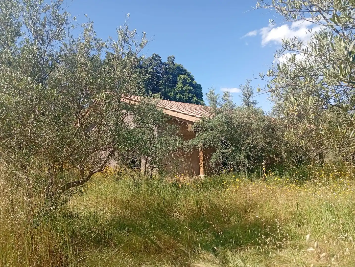 Maison à vendre à Villanueva de la Vera, imagen 58