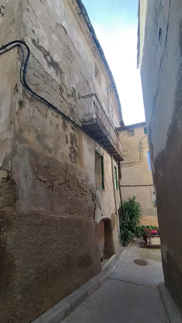 Vista exterior de Finca rústica en venta en Castillonroy con Jardín privado