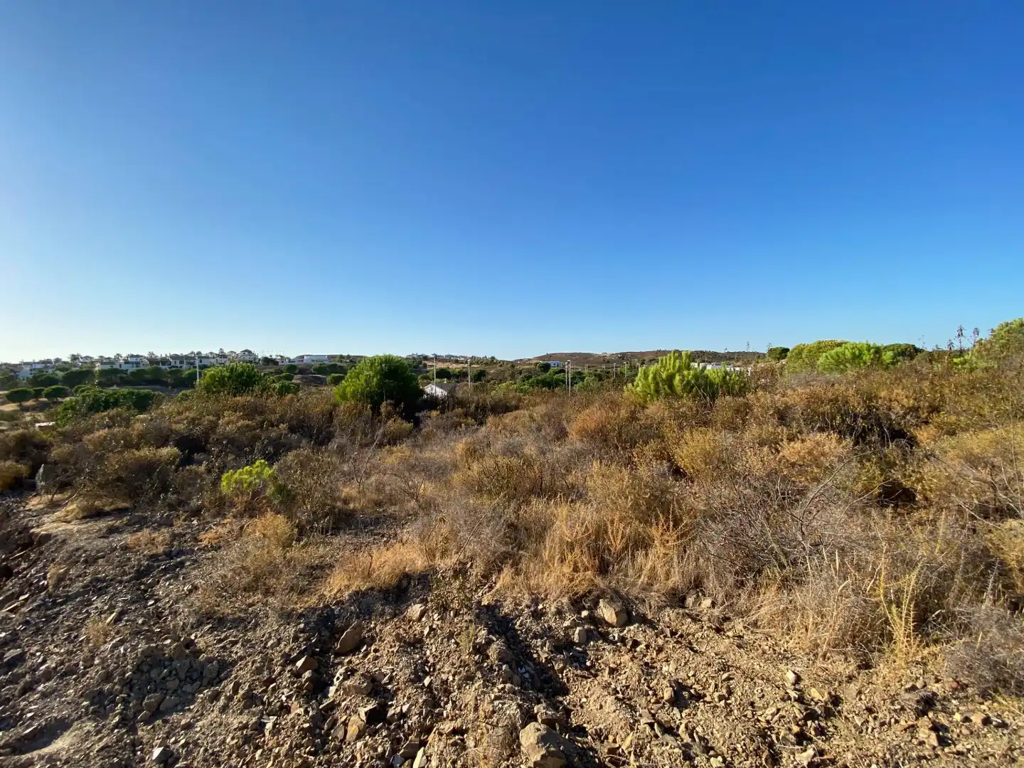 Terreno residenziale in vendita a Avenida ROSALIA DE CASTRO, imagen 5