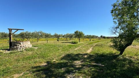 Foto 3 de Finca rústica en venda a N/a, -1, Valdesalor - Rincón de Ballesteros, Cáceres