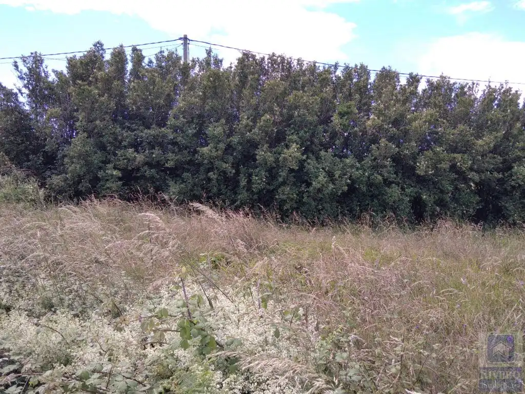 Terreno rustico in vendita a Santa María del Mar - El Puerto, imagen 18