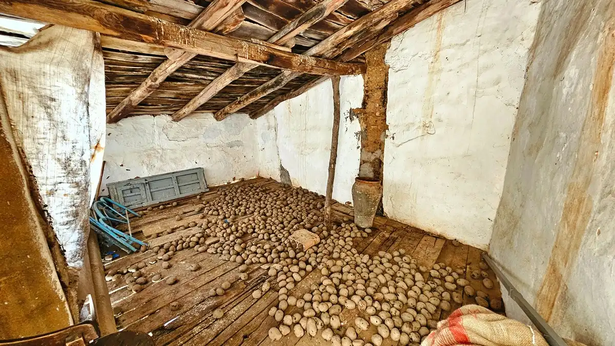 Casa o xalet en venda en Los Marines amb Terrassa i Traster