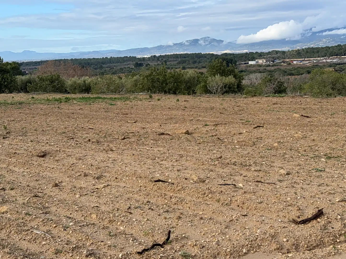 Terrain rustique à vendre à Cami Futbol 14A, imagen 7