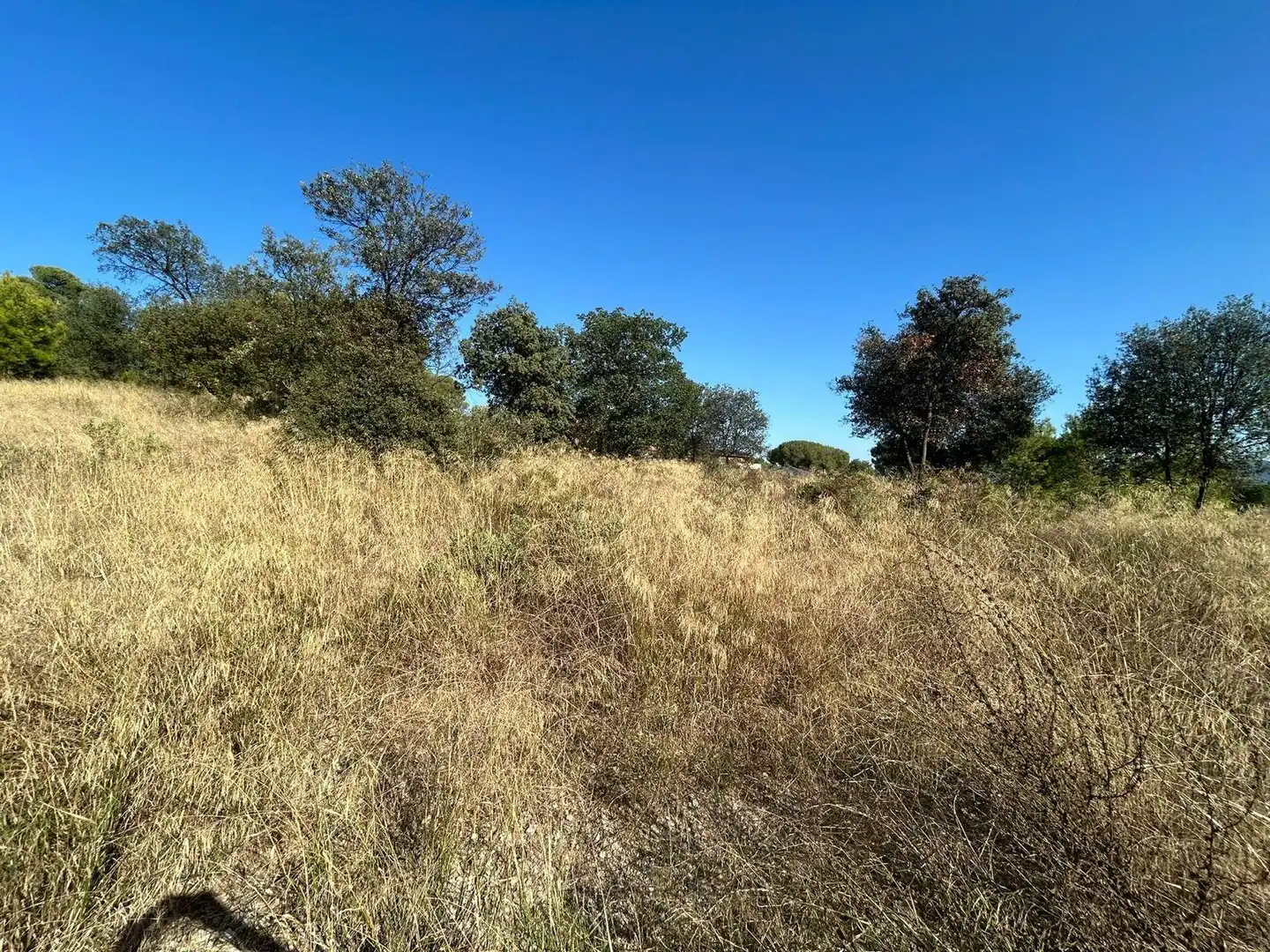 Terrain résidentiel à vendre à Carrer CEDRE, imagen 4